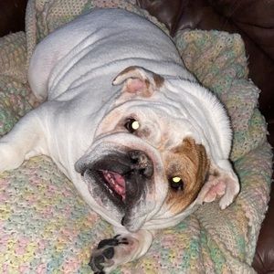 Meet your Posher, William